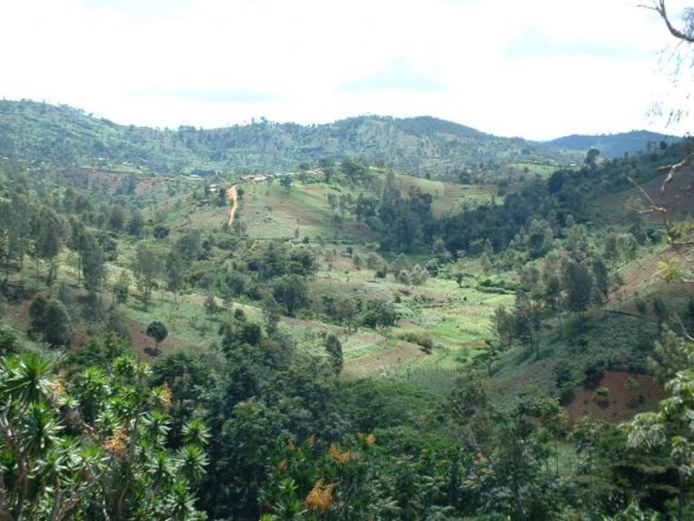 pic1